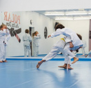 Brazilian Jiu Jitsu - für Kinder ab 7 Ja...